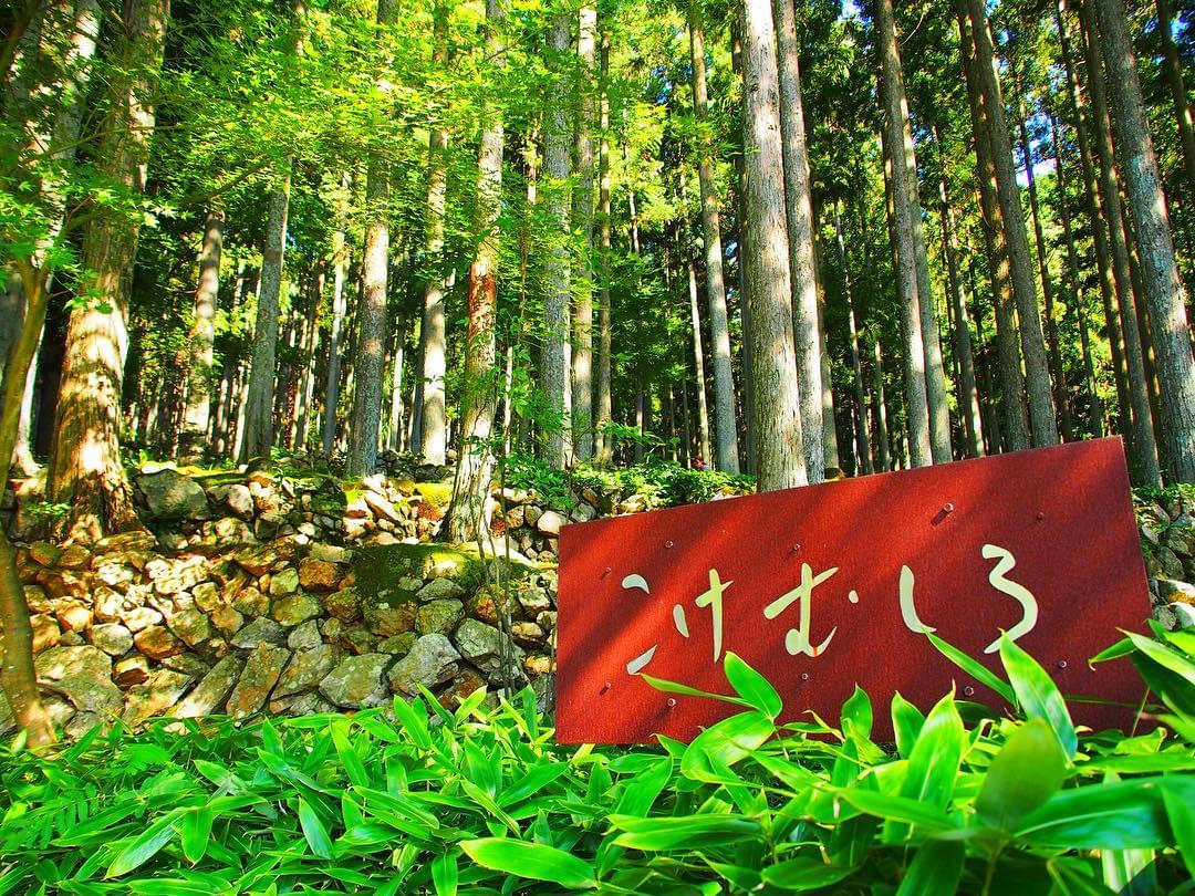 愛媛・西予市の苔カフェ「苔むしろ」が素敵すぎる！外でいただくコーヒー＆抹茶は格別！
