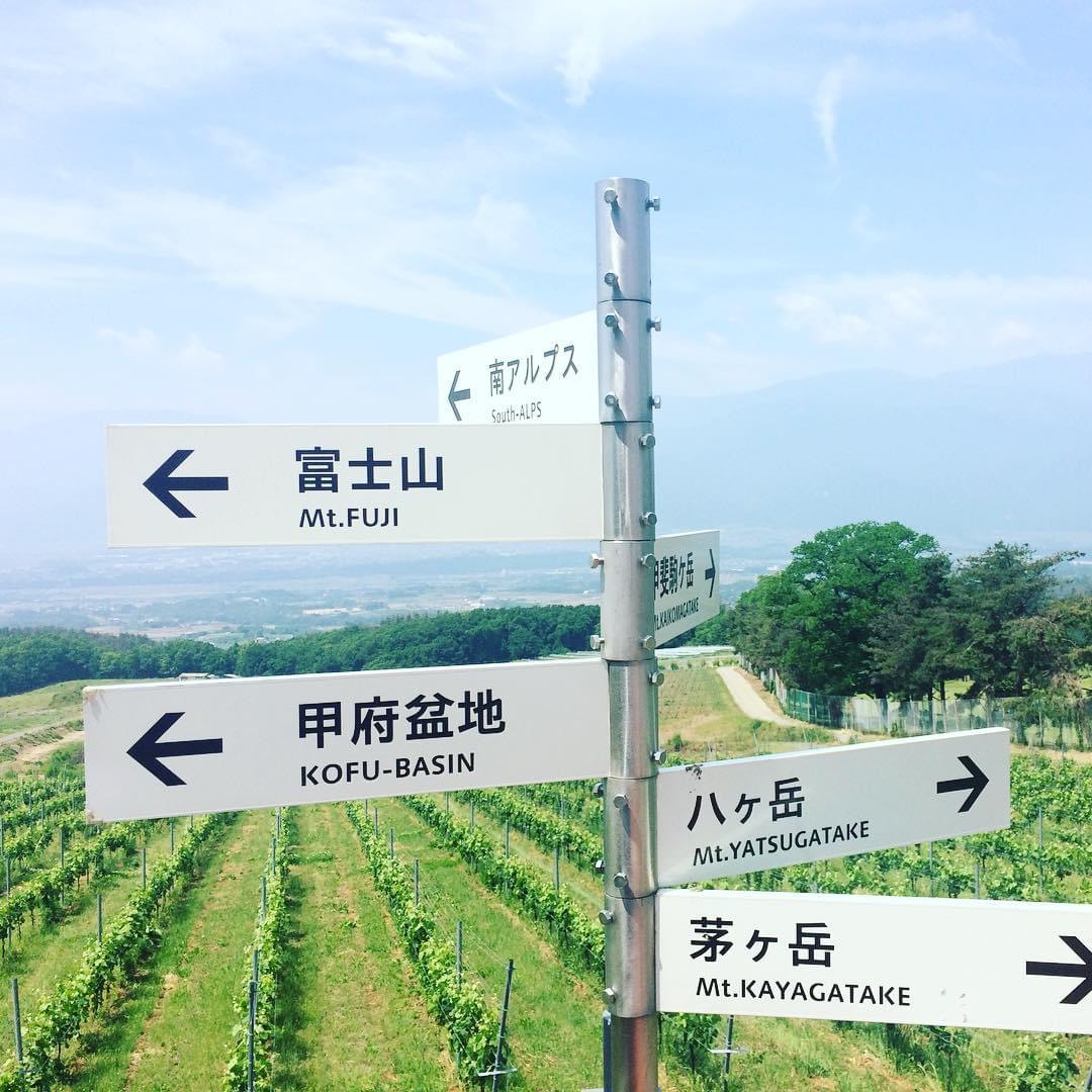 日本のワインのパイオニアが造ったワイナリーで歴史探訪！