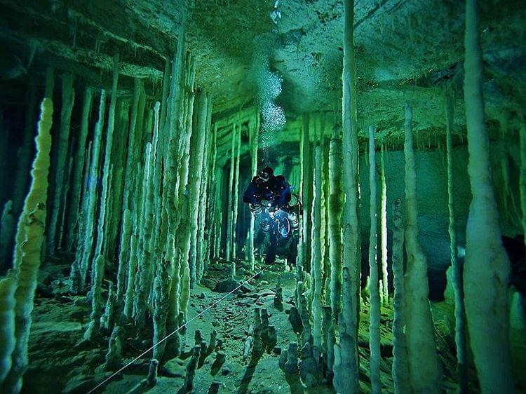 メキシコの聖なる泉セノーテへ！水中写真で感動を拡散！