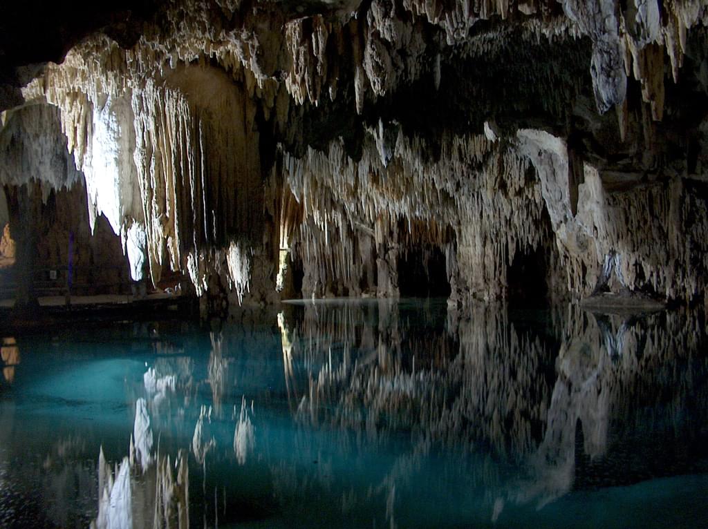 メキシコの聖なる泉セノーテへ！水中写真で感動を拡散！