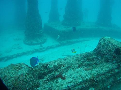 【マイアミ】ネプチューンメモリアルリーフ！海底に沈む古代都市遺跡！？