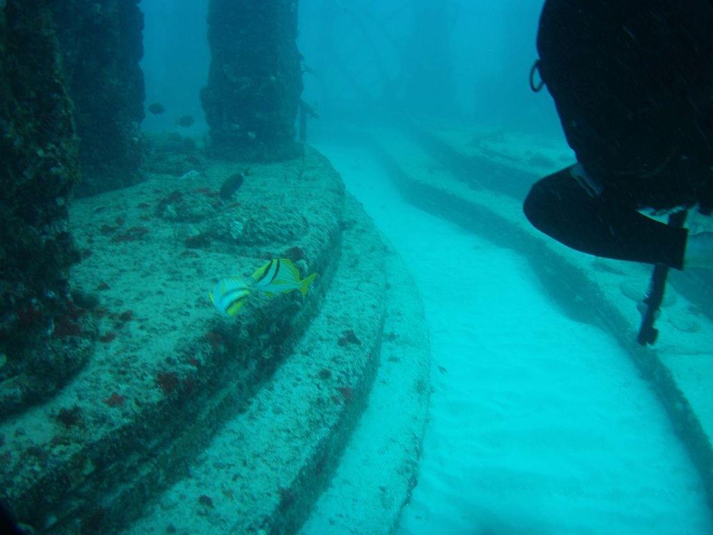 【マイアミ】ネプチューンメモリアルリーフ！海底に沈む古代都市遺跡！？