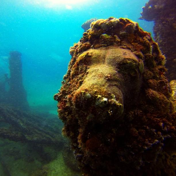 【マイアミ】ネプチューンメモリアルリーフ！海底に沈む古代都市遺跡！？