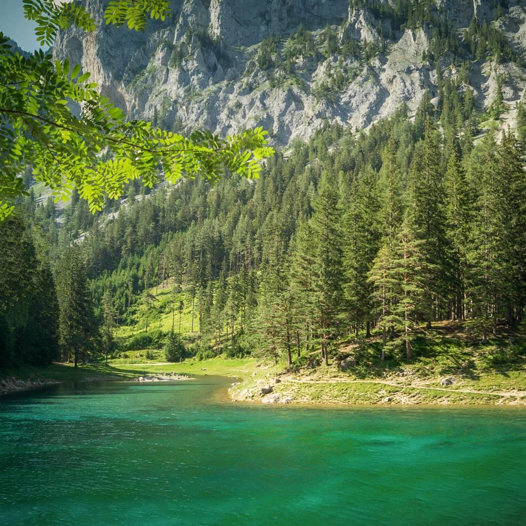 オーストリアに存在する幻の湖、グリーンレイク！どうして水の中に森林が広がっているの!?