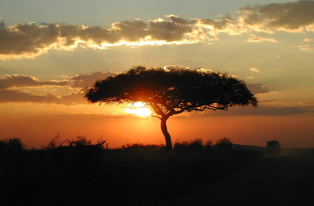 ケニアのマサイマラ国立保護区！熱気球でアフリカを体感！