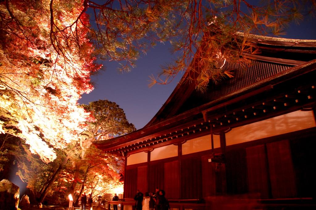 京都・知恩院の秋の紅葉ライトアップは必見！夜闇に浮かぶ幻想的な風景を見に行こう