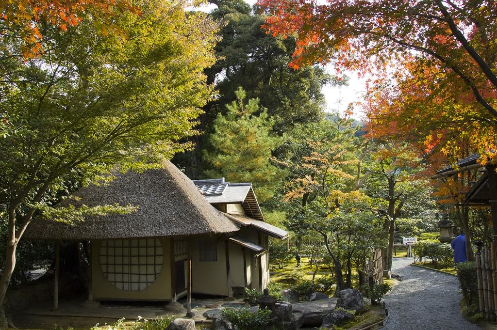 京都・高台寺の紅葉の夜間ライトアップとプロジェクションマッピングは必見！