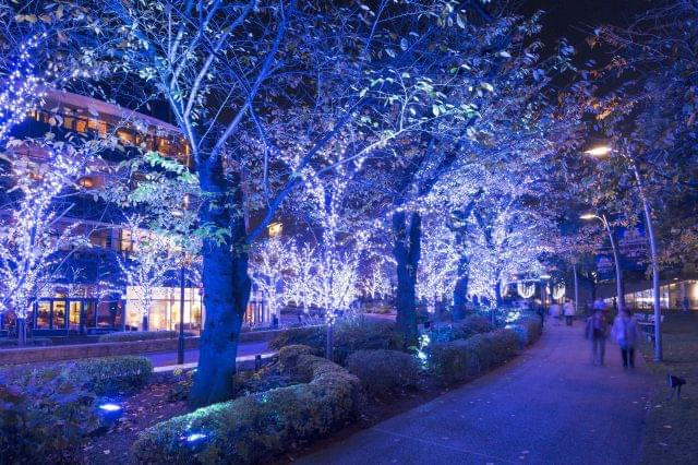 2016年も開催！東京ミッドタウン が光の街になるイルミネーションおすすめポイント