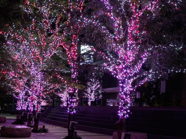 2016年も開催！東京ミッドタウン が光の街になるイルミネーションおすすめポイント