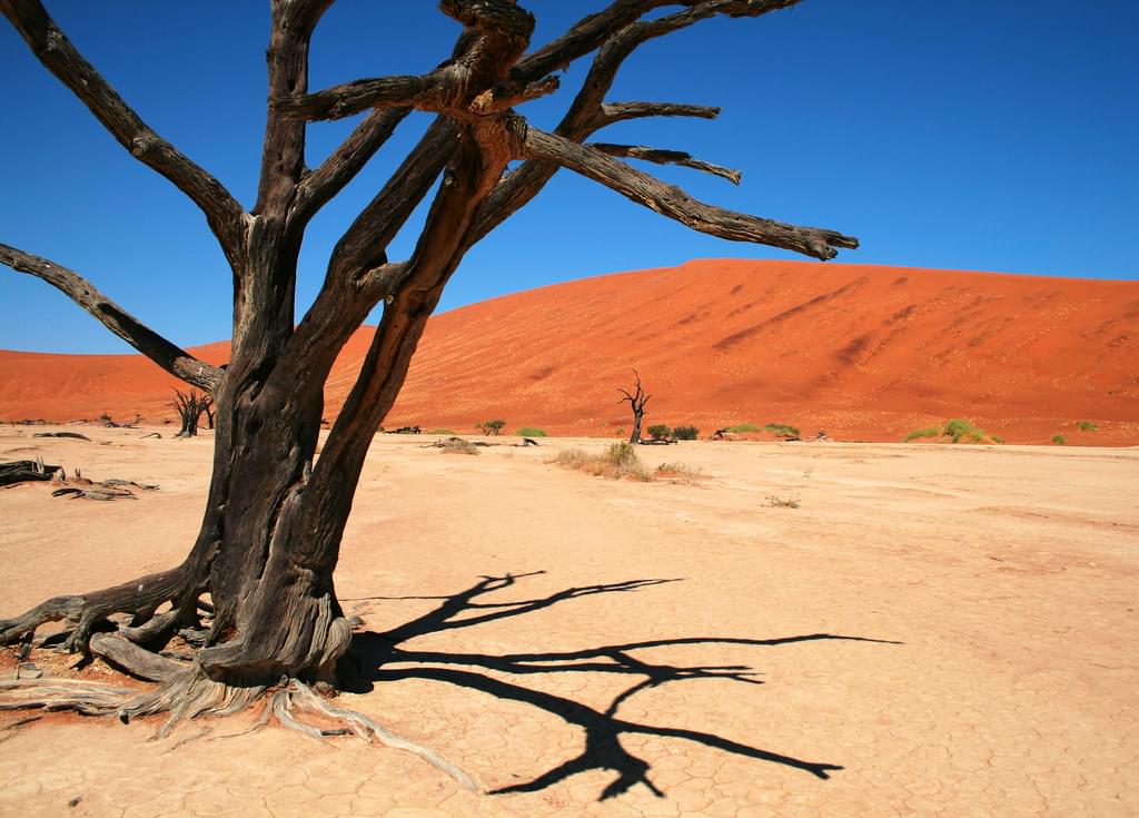 ナミビアのナミブ砂漠を極める！世界で最も美しい砂漠へ