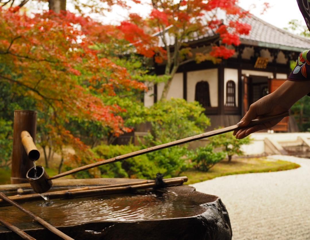 京都・建仁寺の 御朱印帳がマニアの間でも大人気！御朱印ガール急増中！