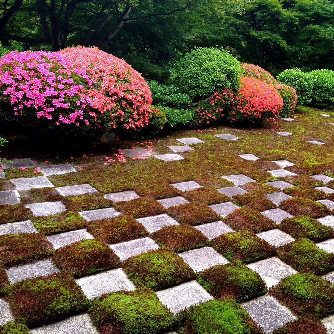 京都・東福寺の御朱印と見どころは？紅葉と美しい庭で有名な場所へ！