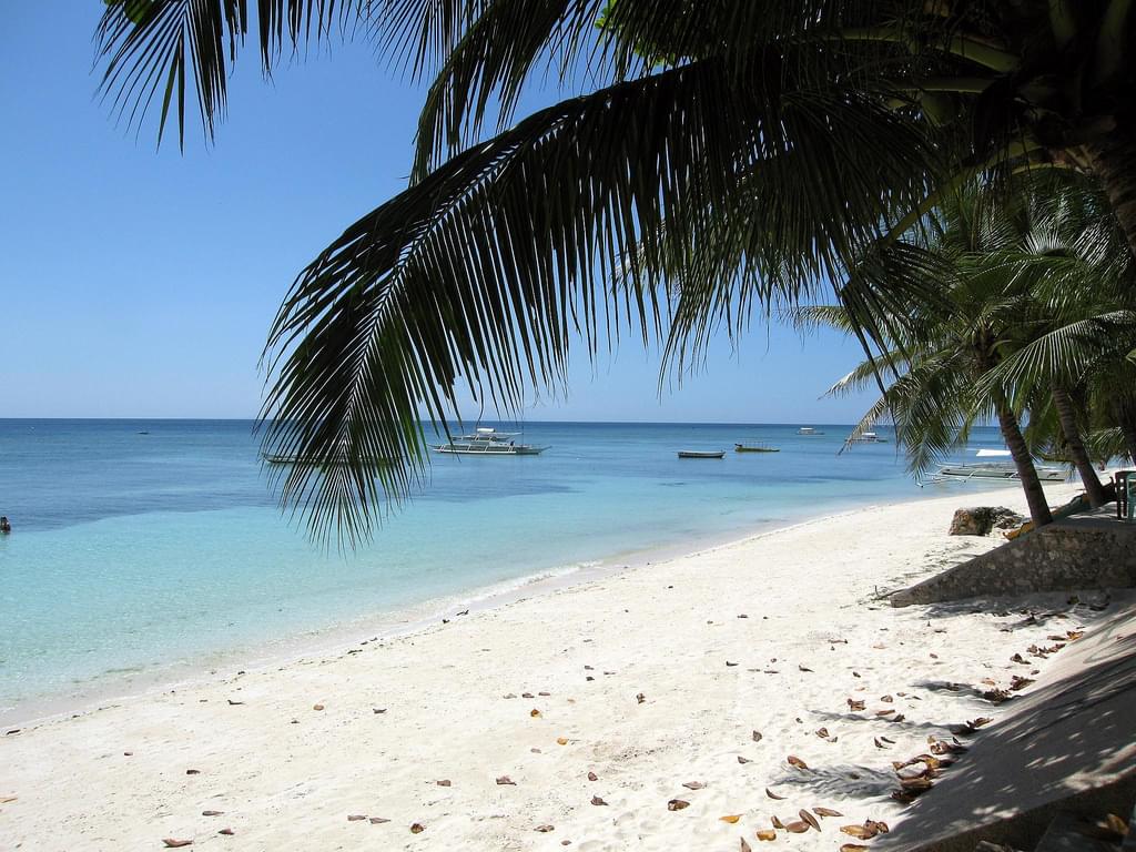 フィリピン・ボホール島の必見おすすめ観光スポット！