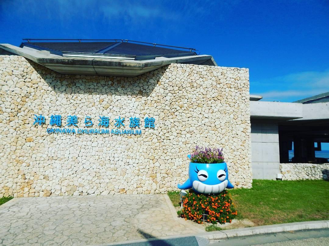 沖縄の新観光名所！沖縄美ら海水族館が壮大で見ごたえたっぷり