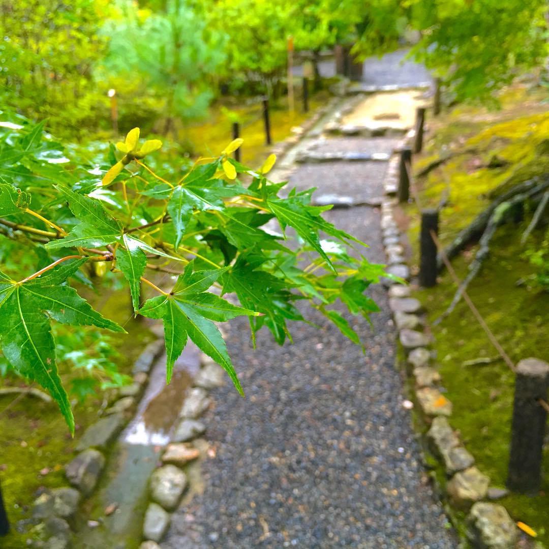 京都・嵐山おすすめ観光スポット5選を厳選！嵐山観光マップ