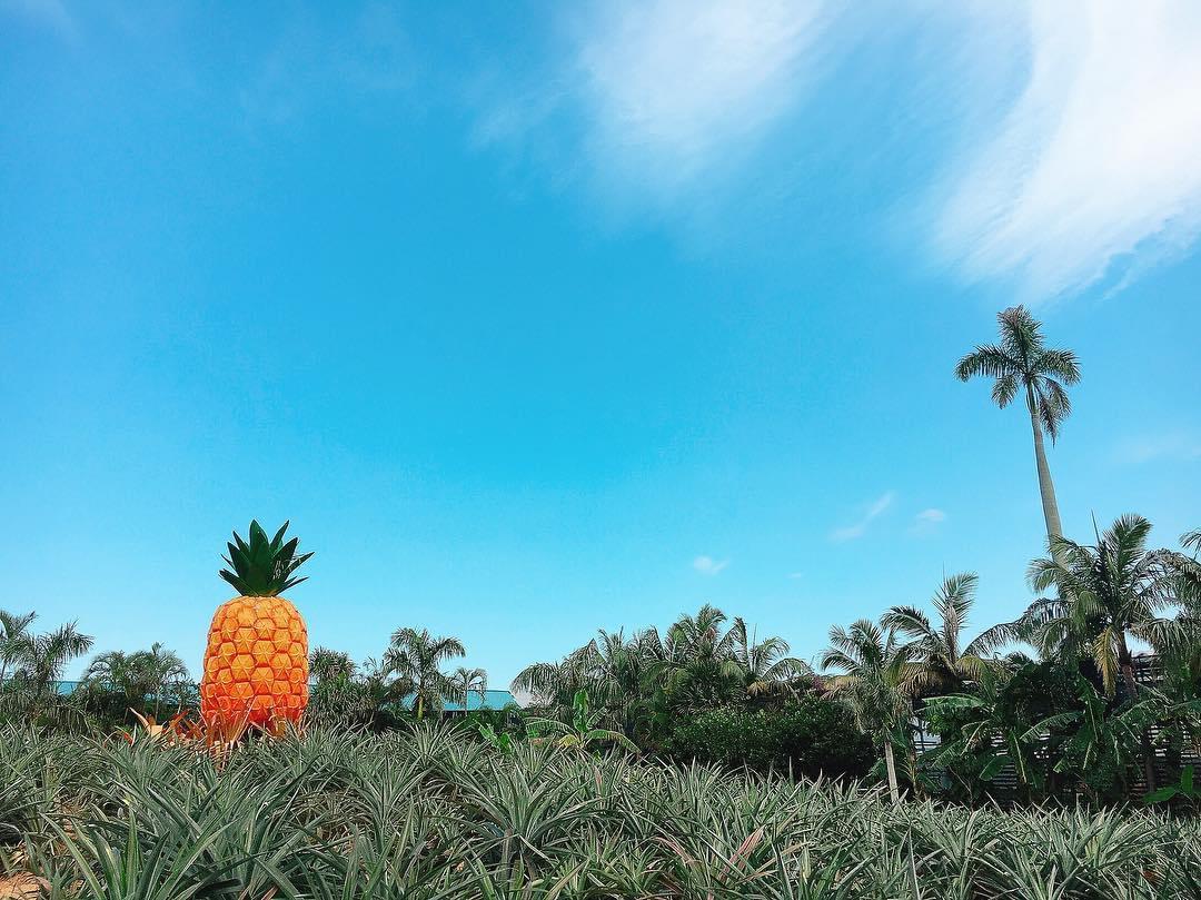 沖縄のナゴパイナップルパークとビオスの丘を大特集！テーマパークで遊び倒そう♪