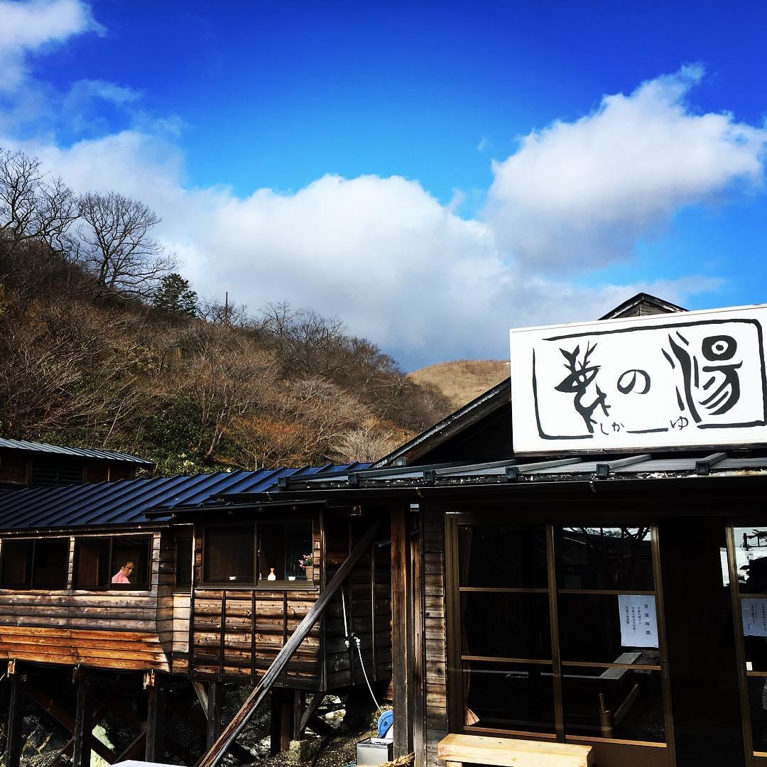 鹿も芭蕉も湯治？由緒ある那須温泉「元湯鹿の湯」はリピーター続出！