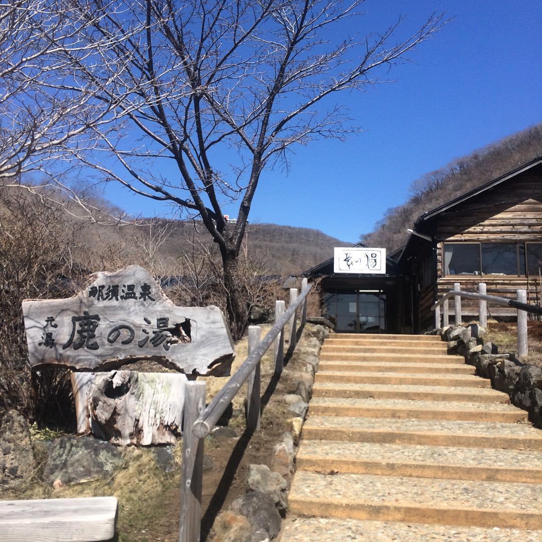 鹿も芭蕉も湯治？由緒ある那須温泉「元湯鹿の湯」はリピーター続出！