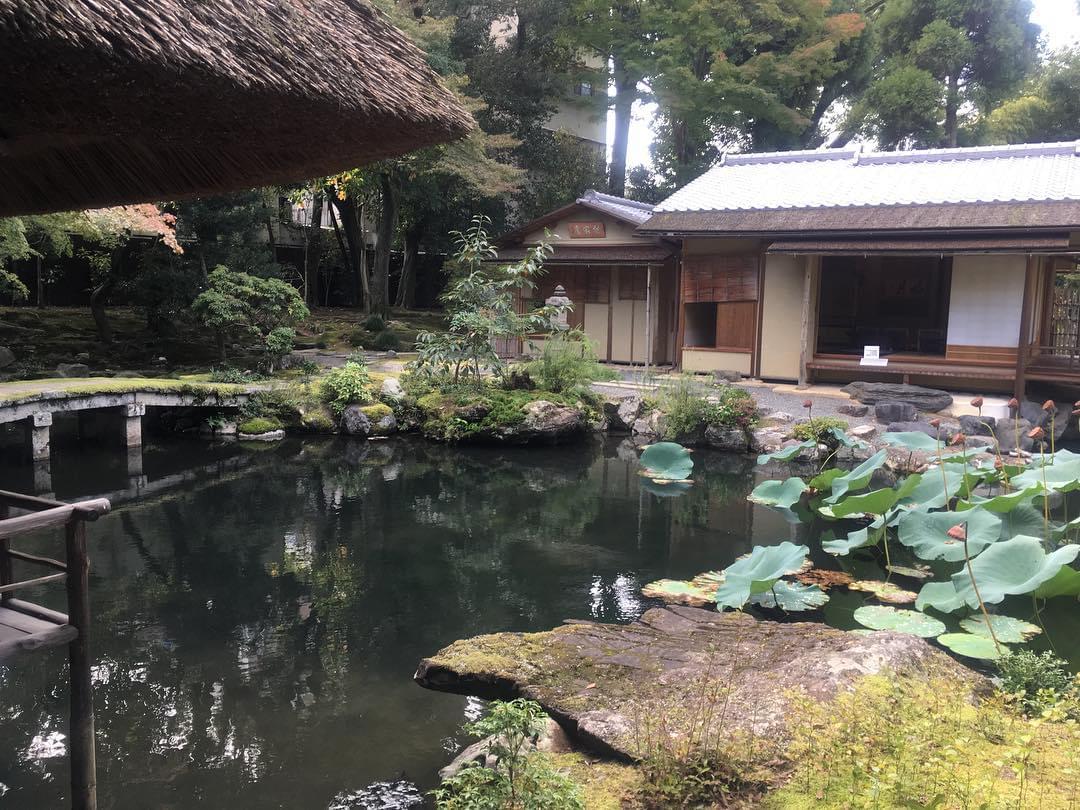 銀閣寺へ車でGO！専用駐車場や近隣の駐車場は？