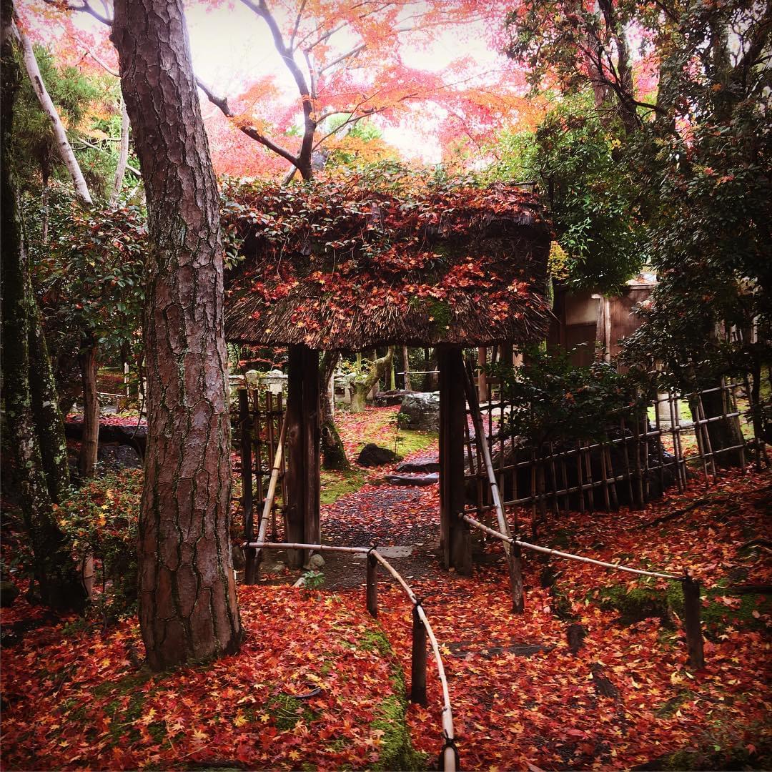 銀閣寺へ車でGO！専用駐車場や近隣の駐車場は？