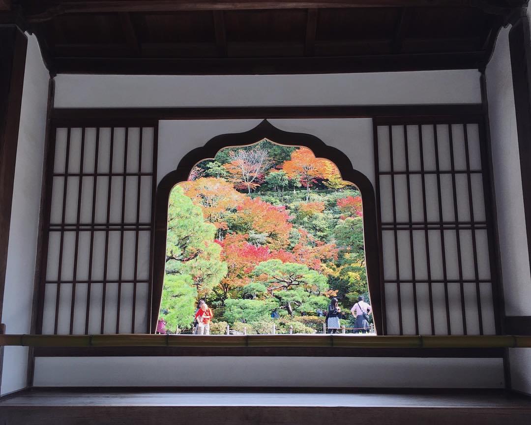 銀閣寺へ車でGO！専用駐車場や近隣の駐車場は？