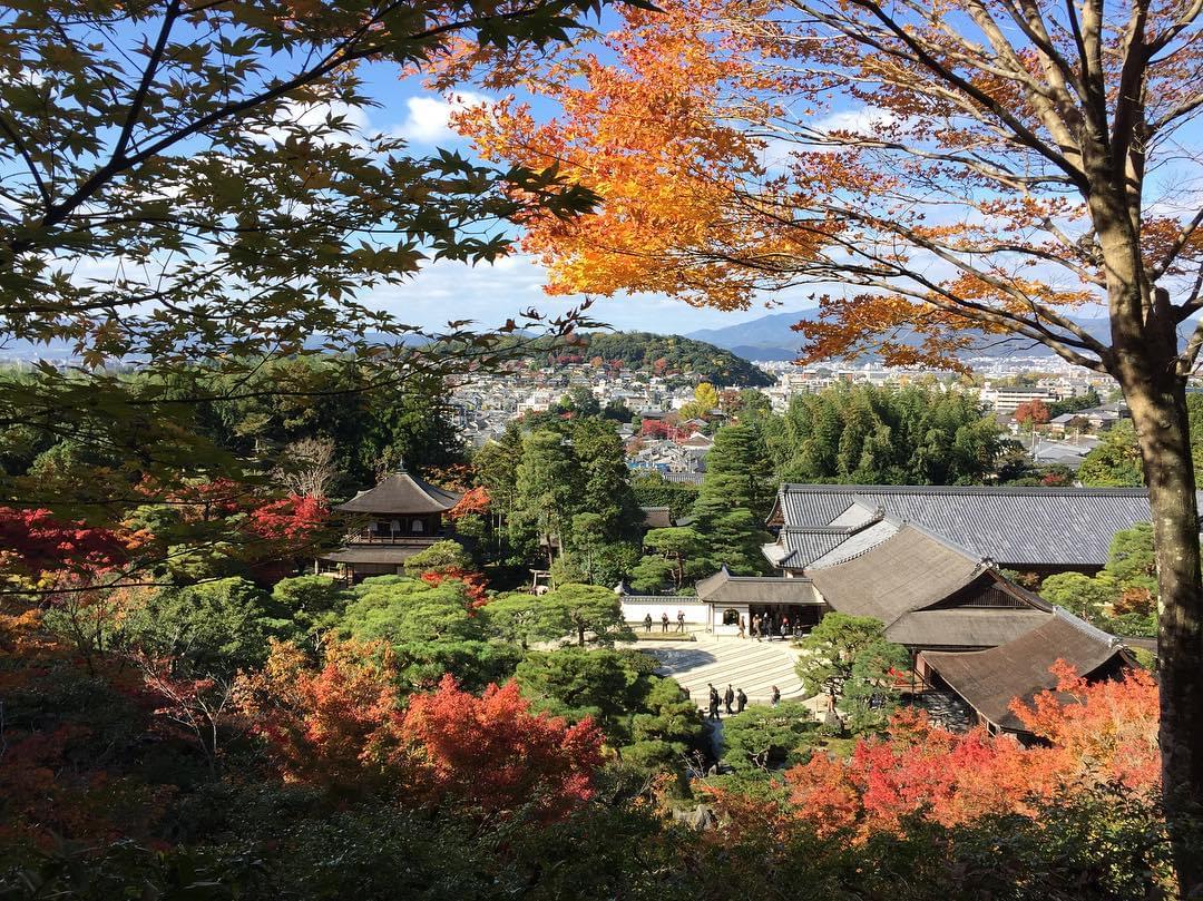 銀閣寺へ車でGO！専用駐車場や近隣の駐車場は？