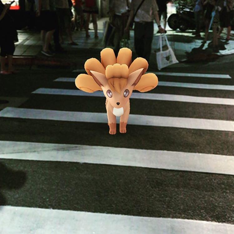 旅行ポケモンをゲット！ポケモンGOの旅に出よう【北海道】