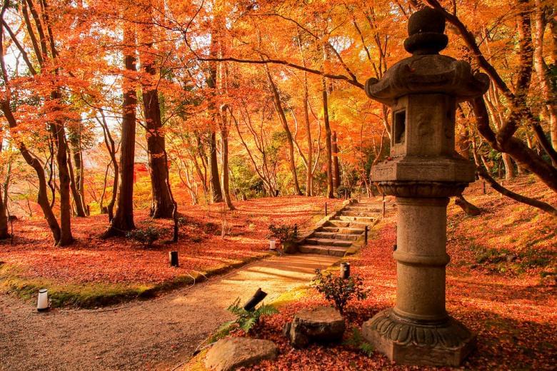 minoir 石灯籠もみじの絨毯 @醍醐寺 (Daigoji, Kyoto)