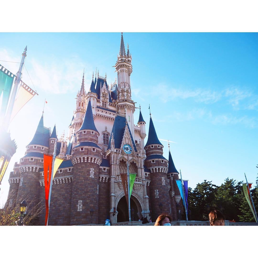 東京ディズニーランド攻略のカギは混雑予想カレンダーにアリ