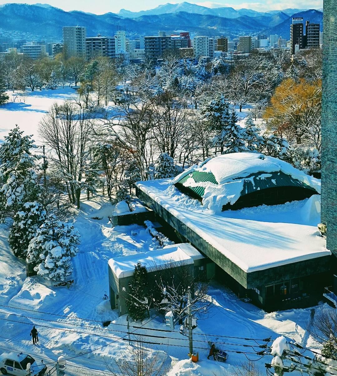 北海道札幌で散策したいおすすめ大型公園～北編～！公園もでっかいどう！