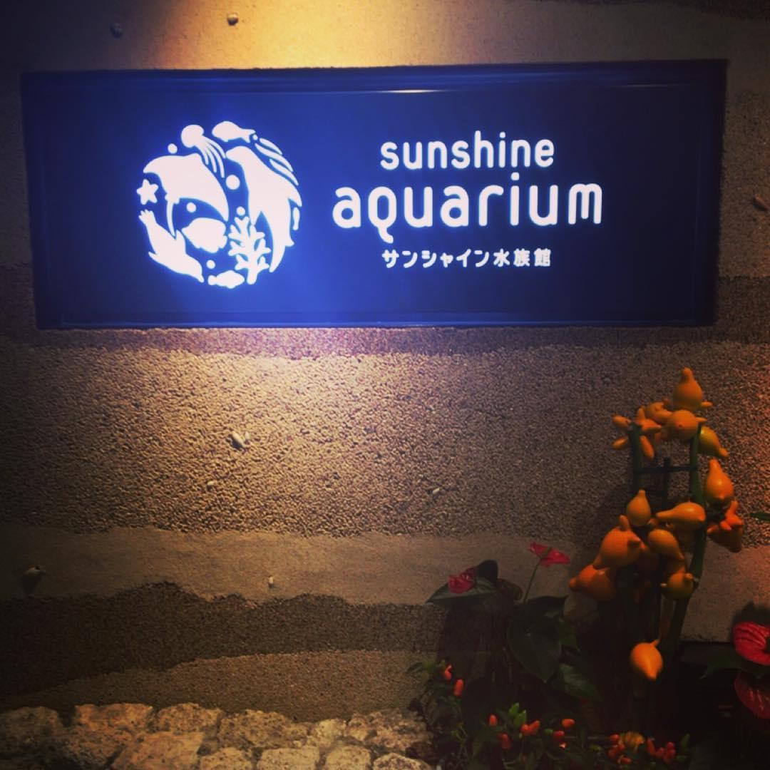 サンシャイン水族館の割引サービスでお得に楽しもう