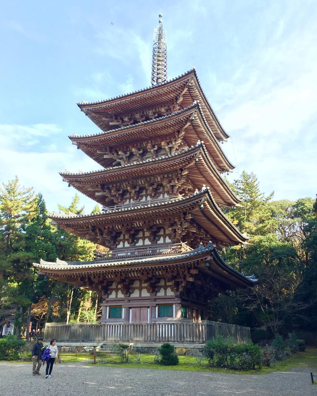 四季折々の美しさあふれる醍醐寺へ車でアクセス♪駐車場のご案内