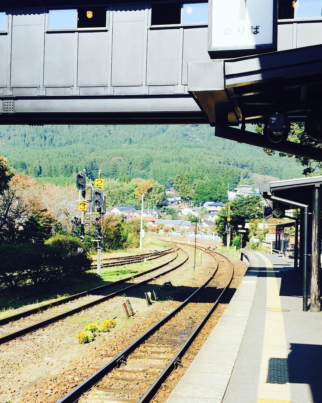 大分・湯布院駅前の当たる占い「千家」の全貌！
