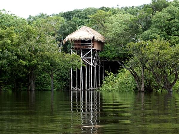 世界最大のアマゾン川のワイルドなジャングルロッジに宿泊してみよう！