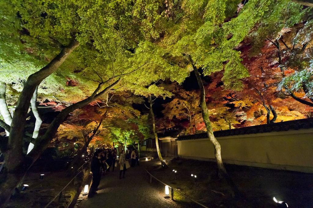 嵐山周辺のおすすめ人気ホテル15選！京都の魅力が満載！