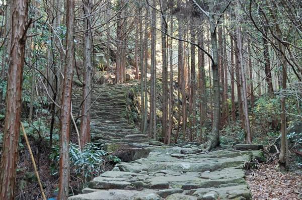 【世界遺産】熊野古道の絶景スポット7選