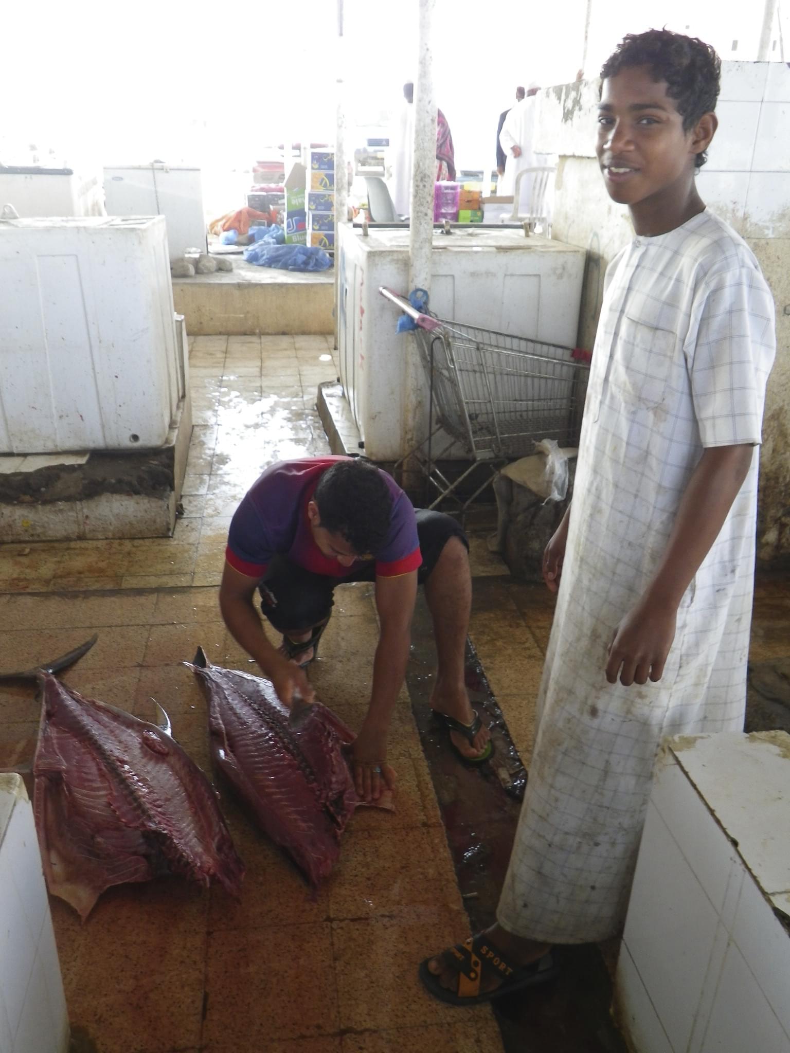 オマーンの田舎町バルカの魚市場が超新鮮でスゴい‼みどころ＆アクセス方法紹介！