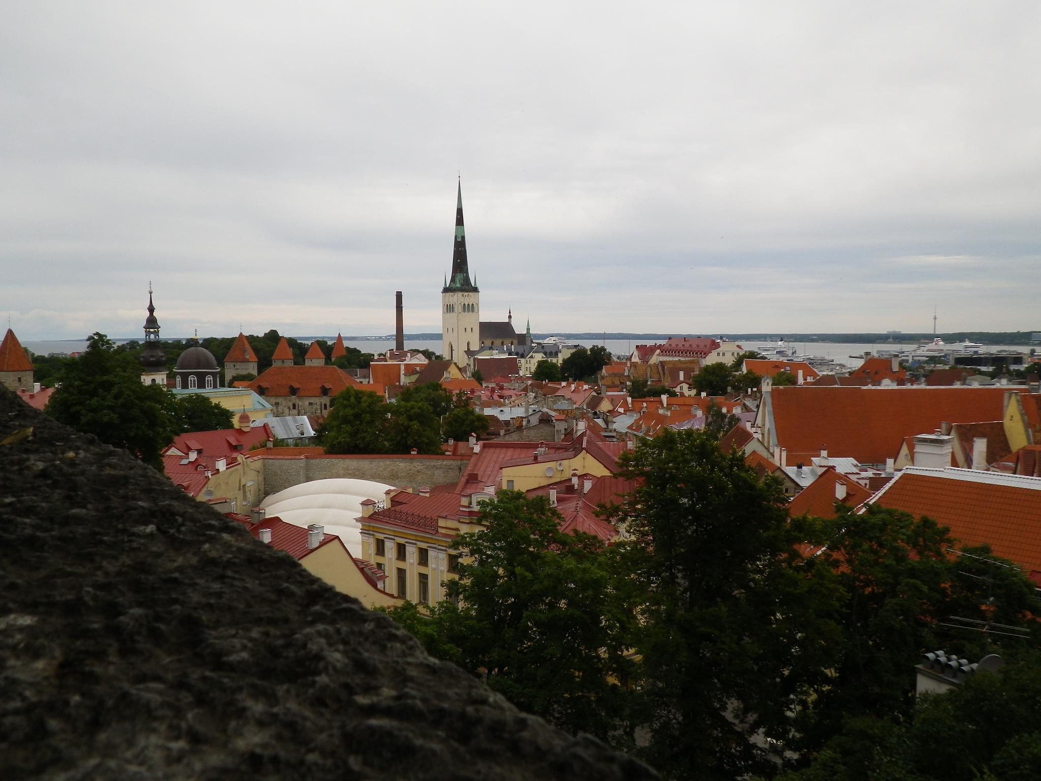 【エストニア】世界遺産の街・タリンに行ってみよう！