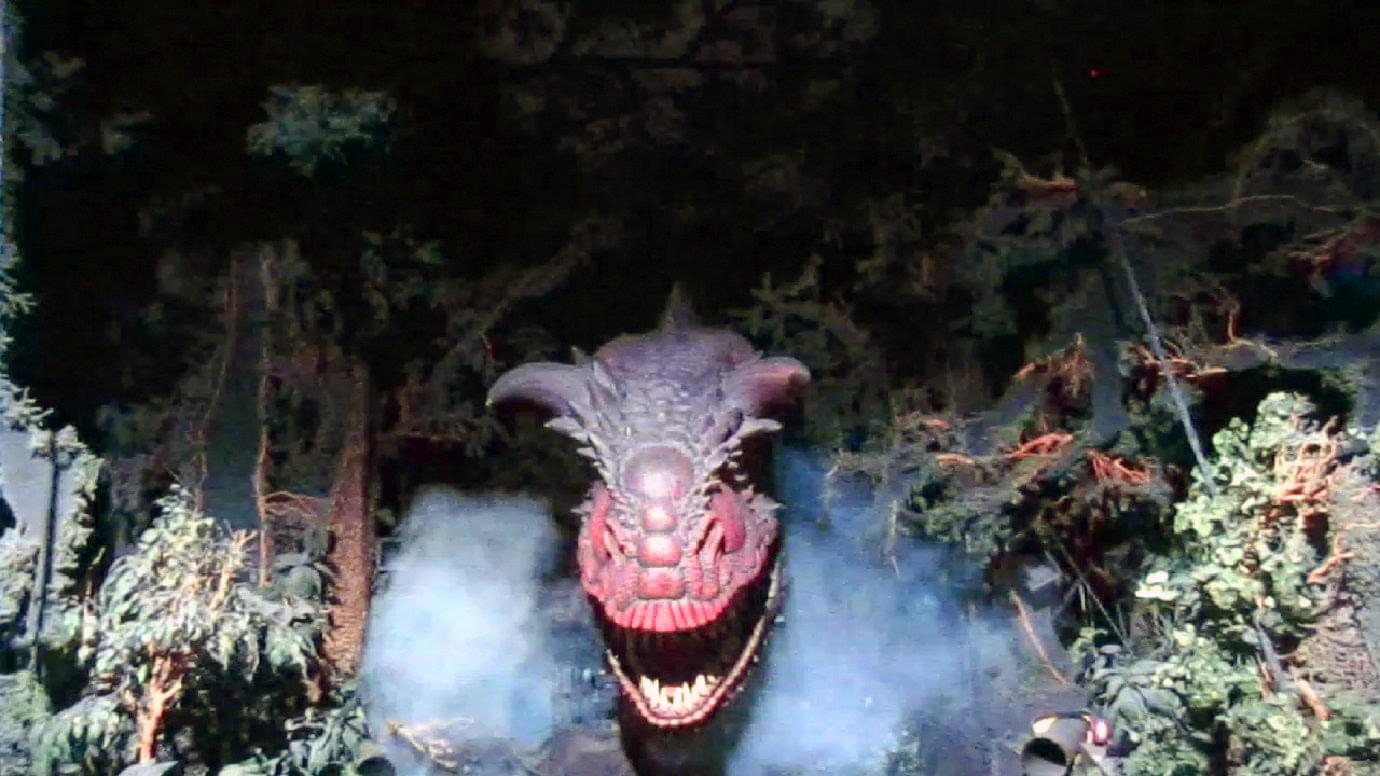 フロリダのディズニー・アニマルキングダムでたくさんの動物に会おう！