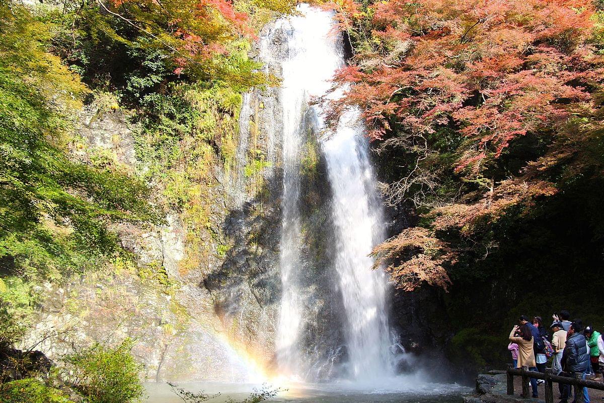 大阪の癒しスポット箕面公園の滝道へ♪マイナスイオンを浴びに出かよう！ 