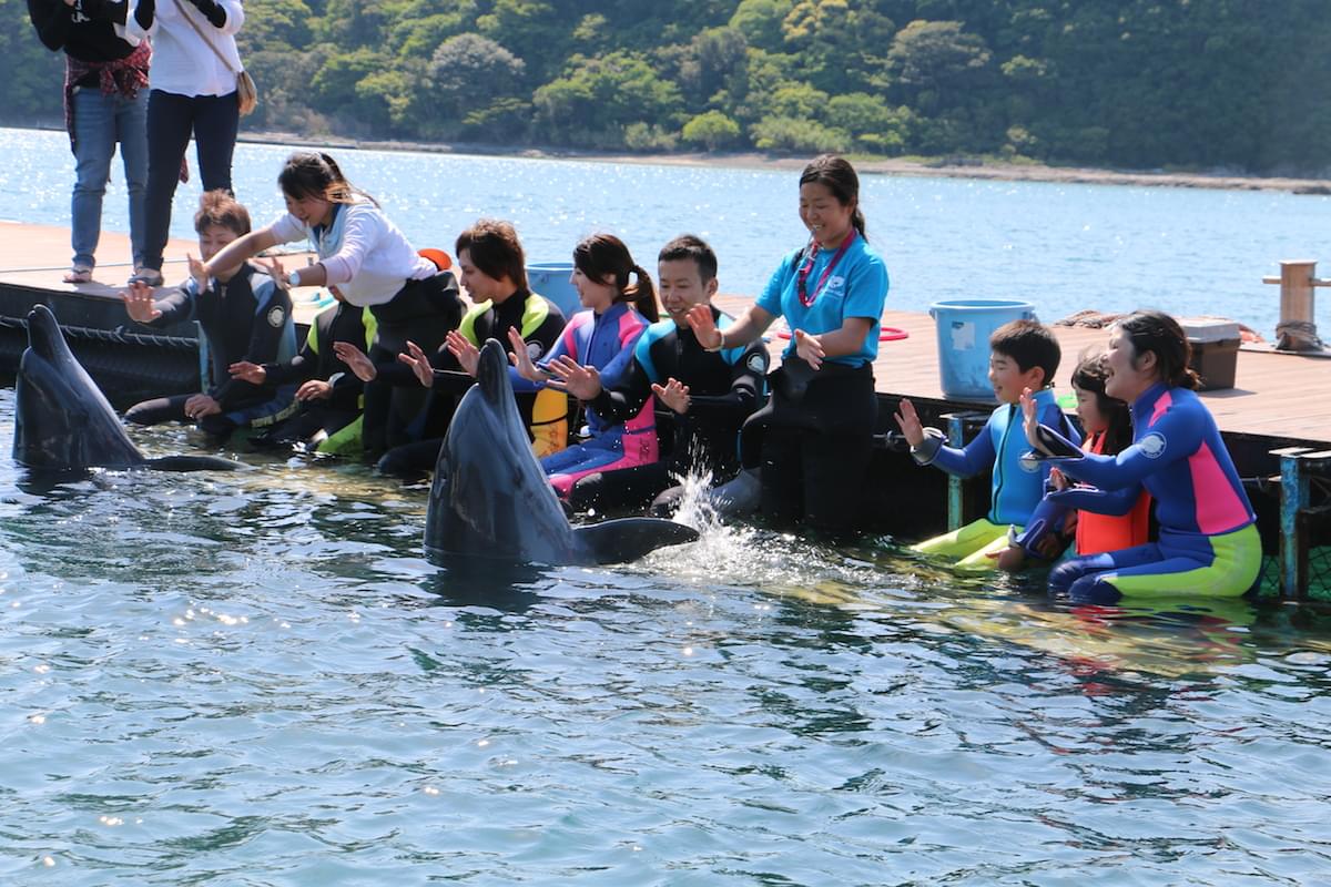 和歌山のおすすめマリンアミューズメント5選！海の生物に会えるアクティビティを楽しもう♪