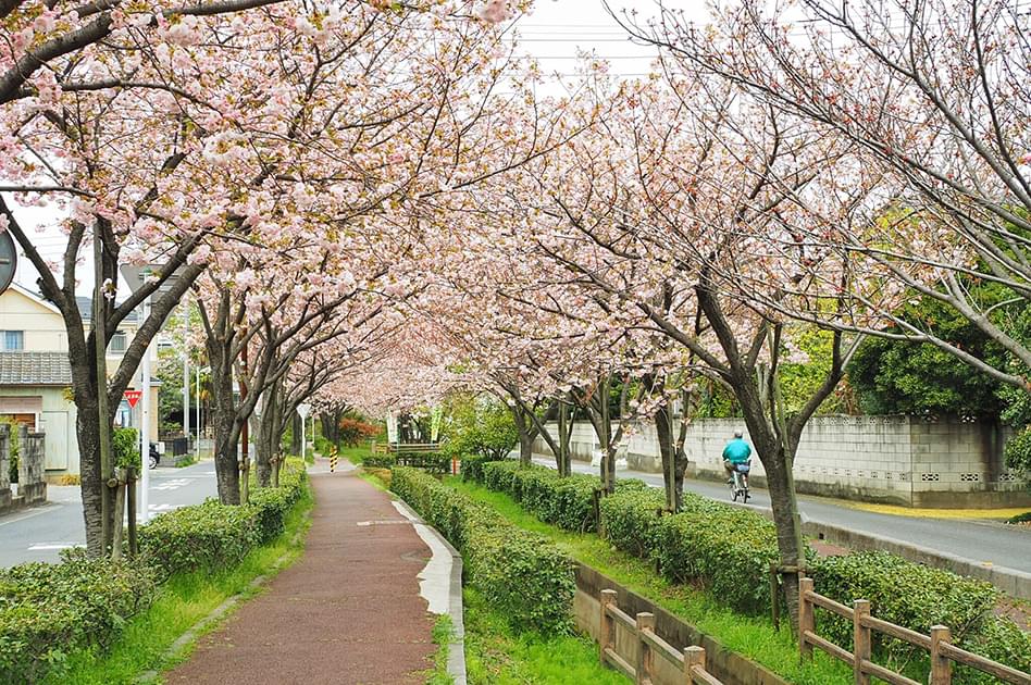 【つくばエクスプレス】三郷中央駅のおすすめ観光スポット3選！美しい自然を堪能しよう！