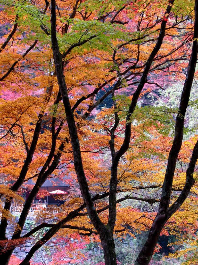 愛知県の観光名所15選！自然いっぱい、家族旅行やデートにぴったりのスポット大特集