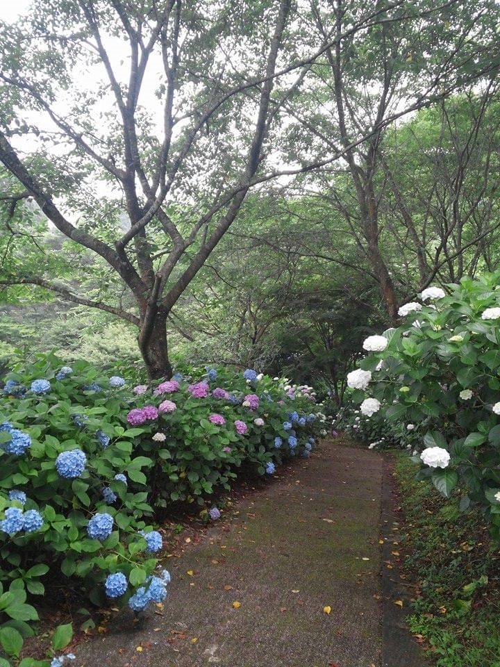 【神奈川】葉山・堀内で行きたいおすすめ絶景スポット3選！観光にぴったり！