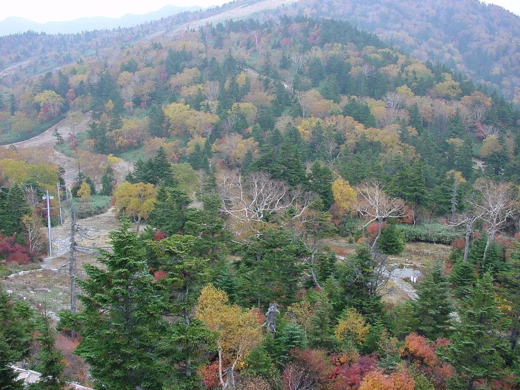 志賀高原で自然を満喫できるおすすめスポット3選！観光しながらリフレッシュ！