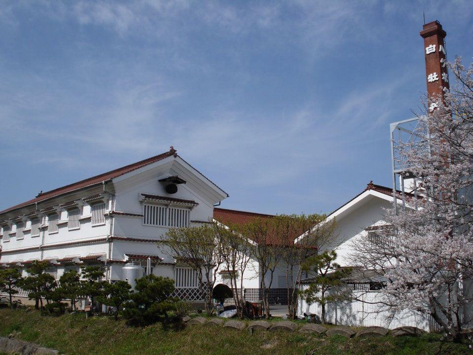 【下書き完了】日本三大名醸地の西条で酒蔵巡り＆日本酒グルメを楽しもう♪ 