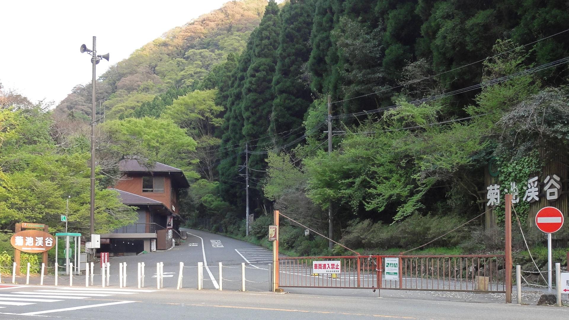 熊本で出会いたい！絶景が望める菊池渓谷へ行こう