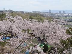 大阪・北摂エリアの人気年間イベント5選