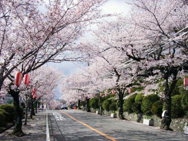 大阪・北摂エリアの人気年間イベント5選