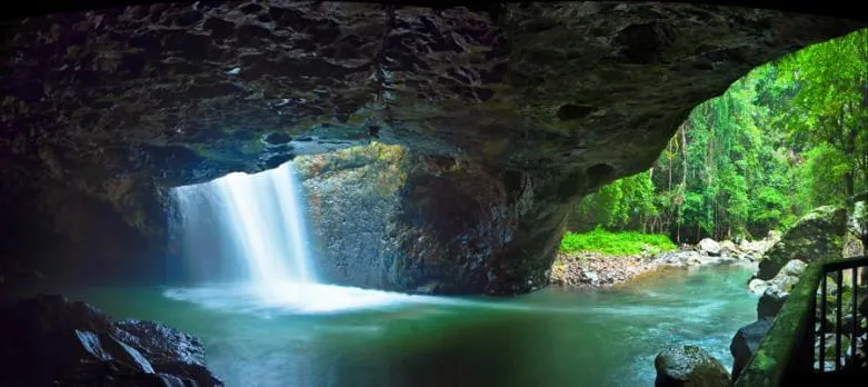 Photo by Michael Lynch - Natural Bridge Springbrook National Park